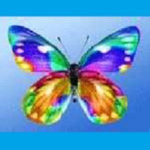 Meet your Posher, Ilona